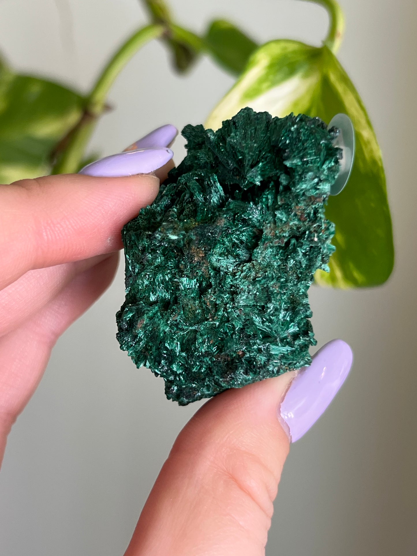 Fibrous Malachite - R
