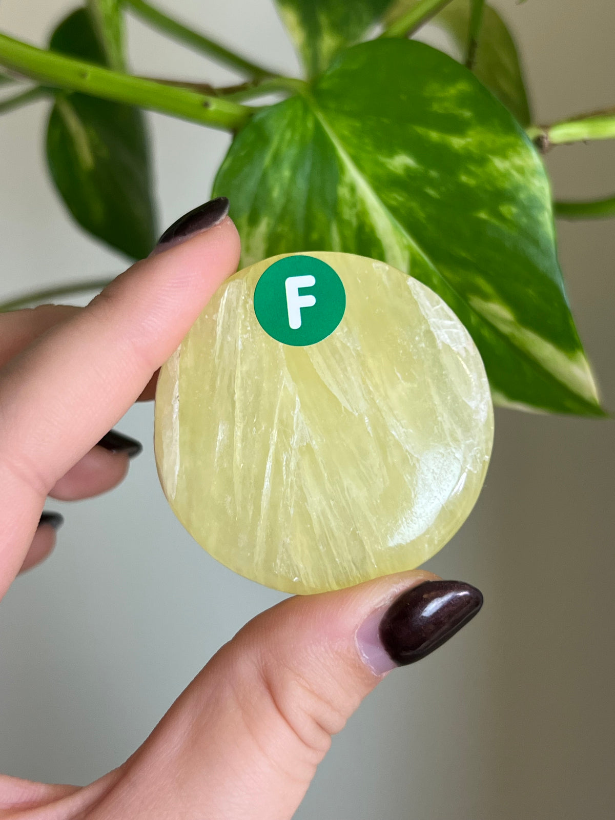 Lemon Calcite Flat Stone - F