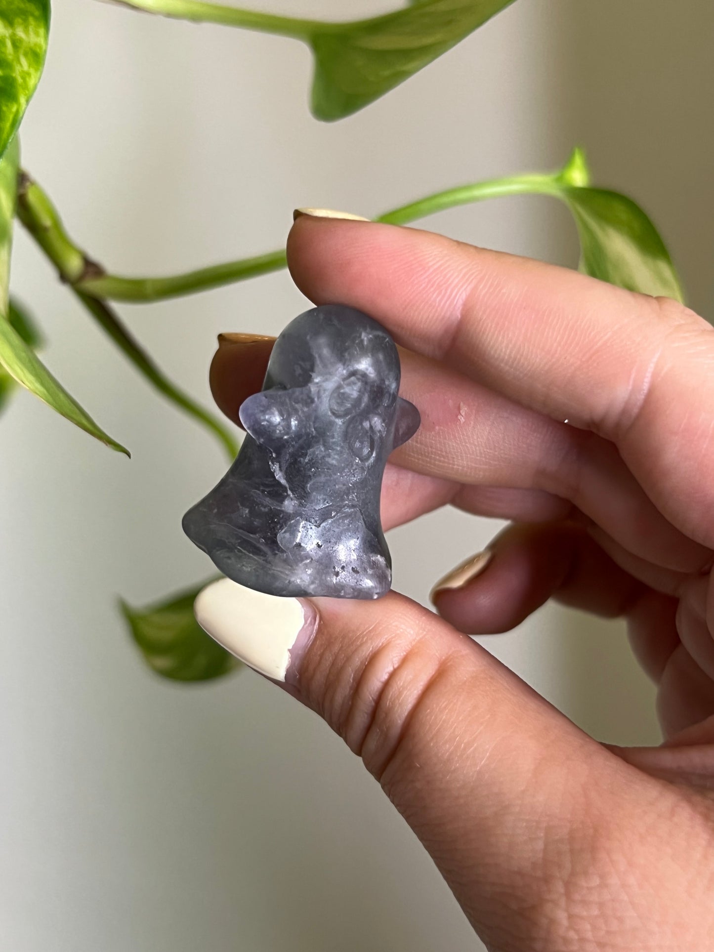 Rainbow Fluorite Ghost