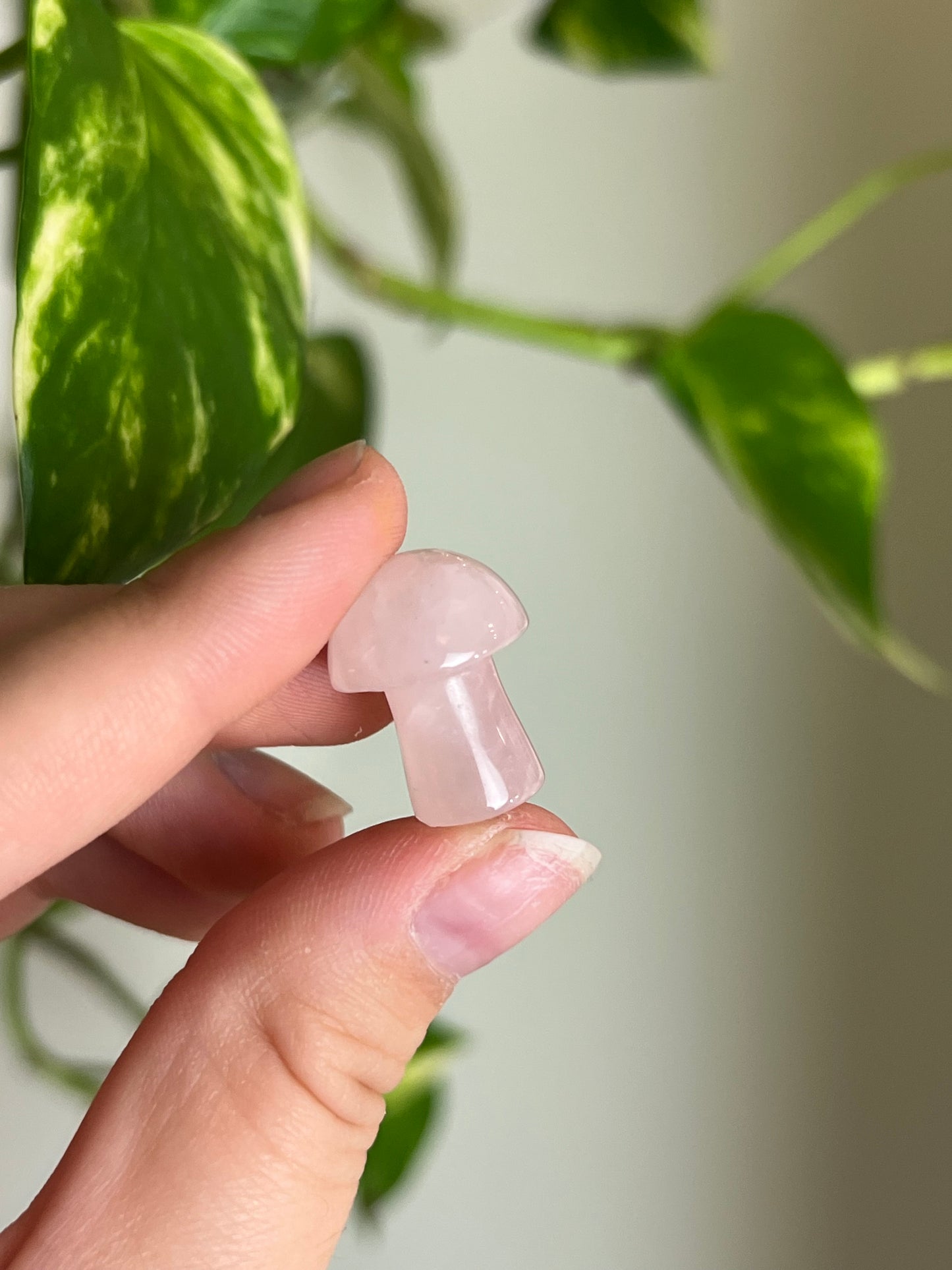 Rose Quartz Mini Mushie