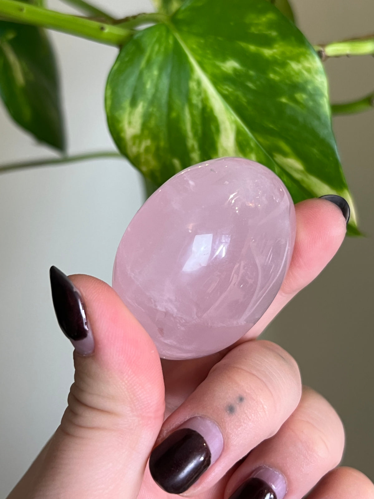 Rose Quartz Palm Stone - 2