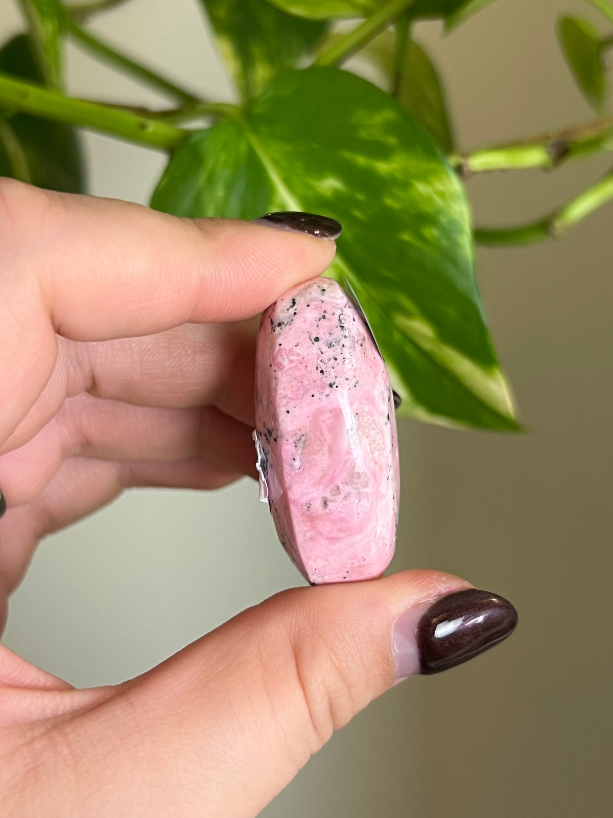 Bubblegum Peruvian Rhodonite Small Palm Stone - V