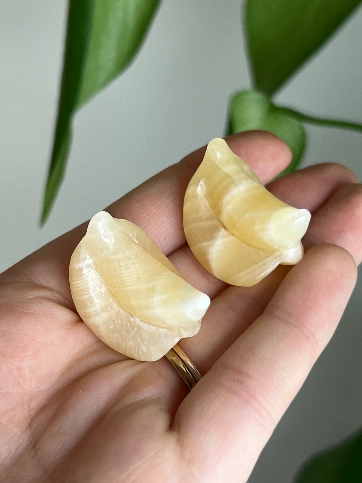 Yellow Calcite Bananas