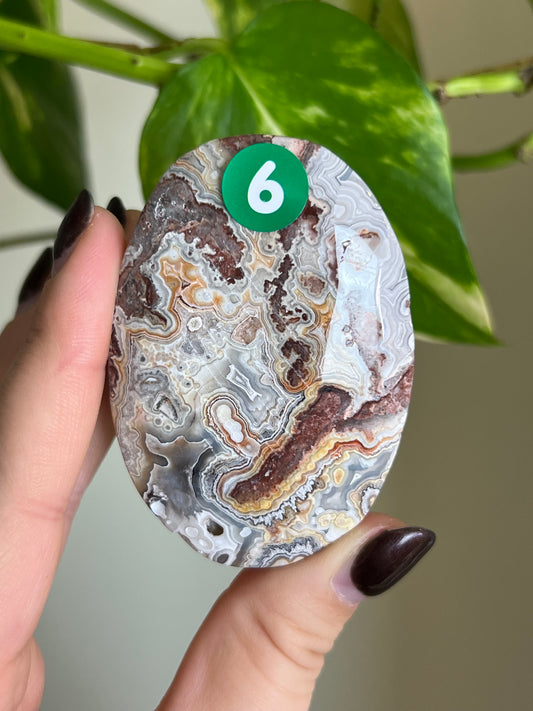 Druzy Mexican Lace Agate Palm Stone - 6