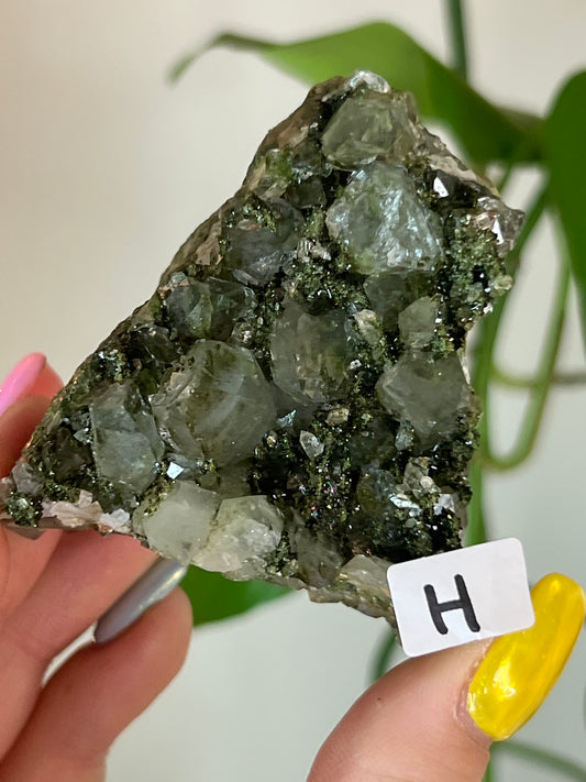 Forest Epidote Quartz Cluster - H