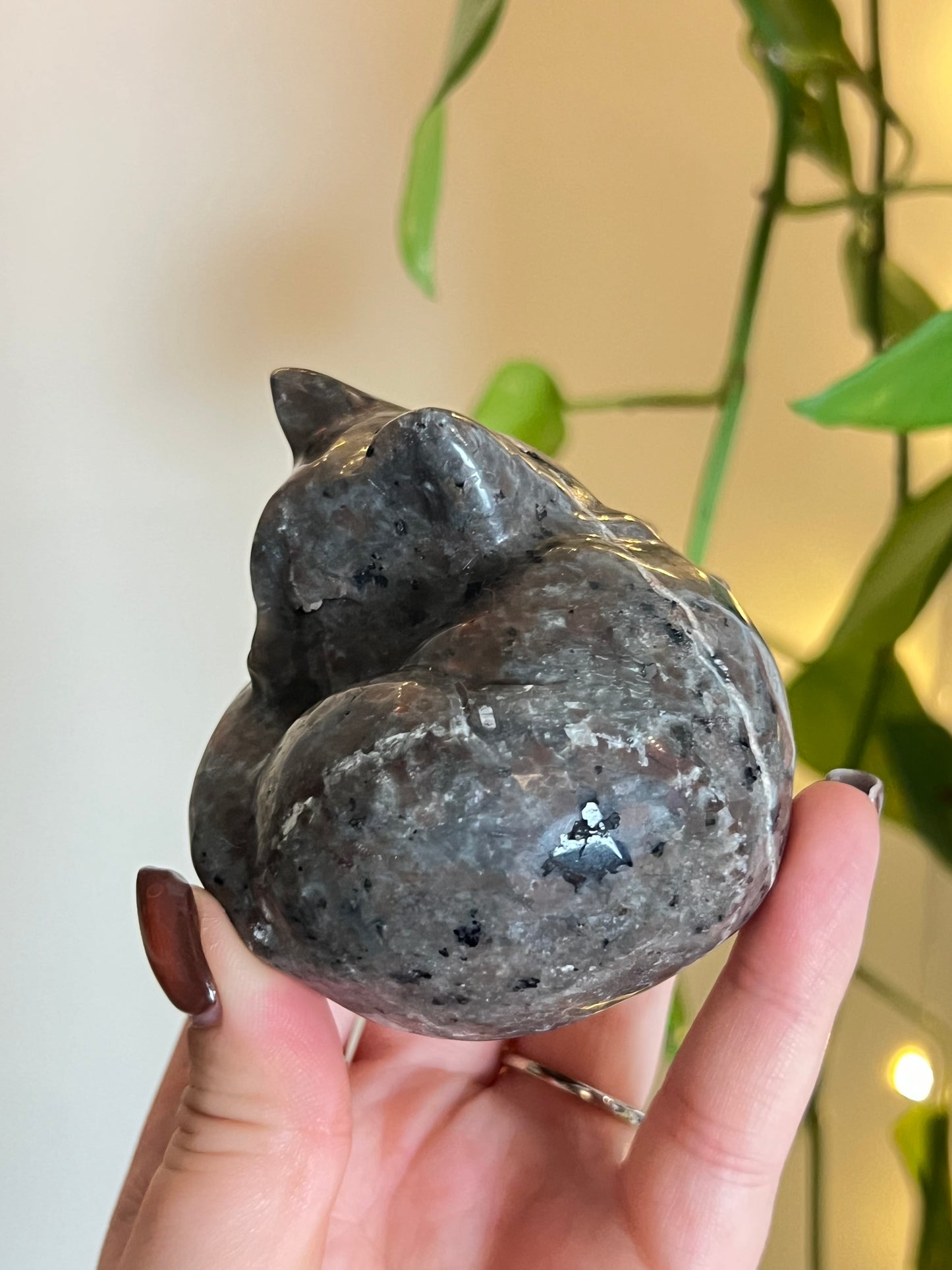 Yooperlite Large Sleeping Cat