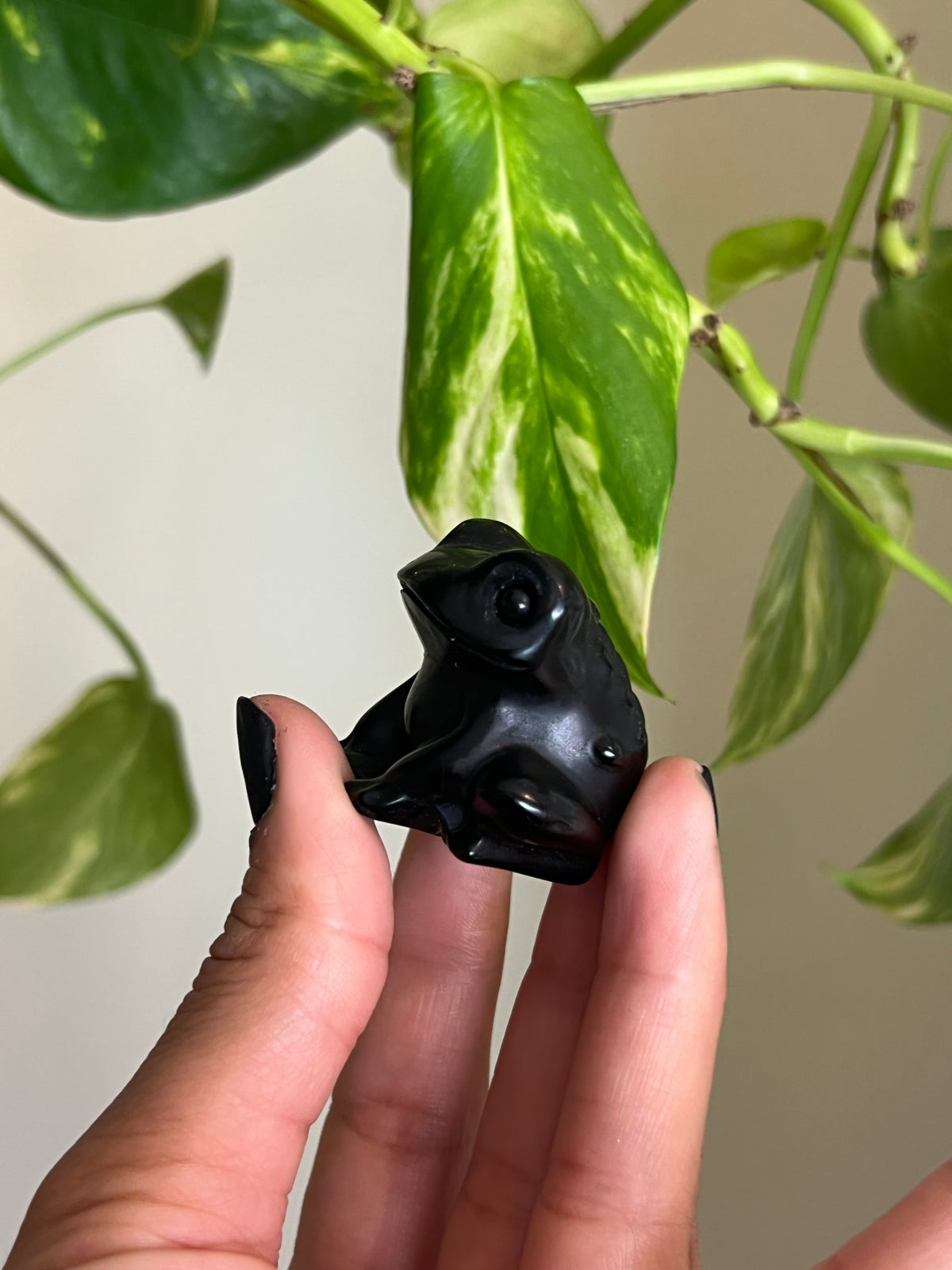 Black Obsidian Frog
