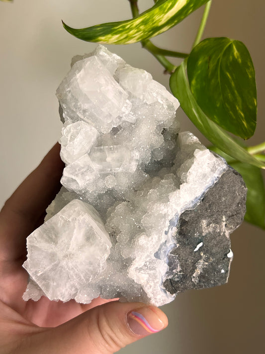 Apophyllite and Chalcedony Cluster - X