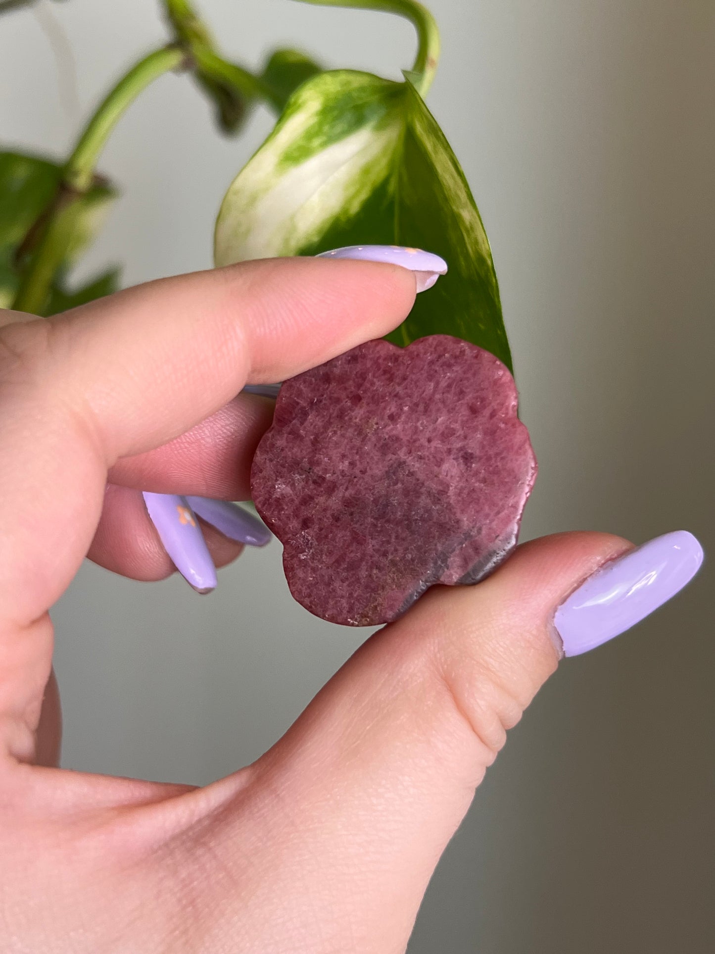 Rhodonite Flower