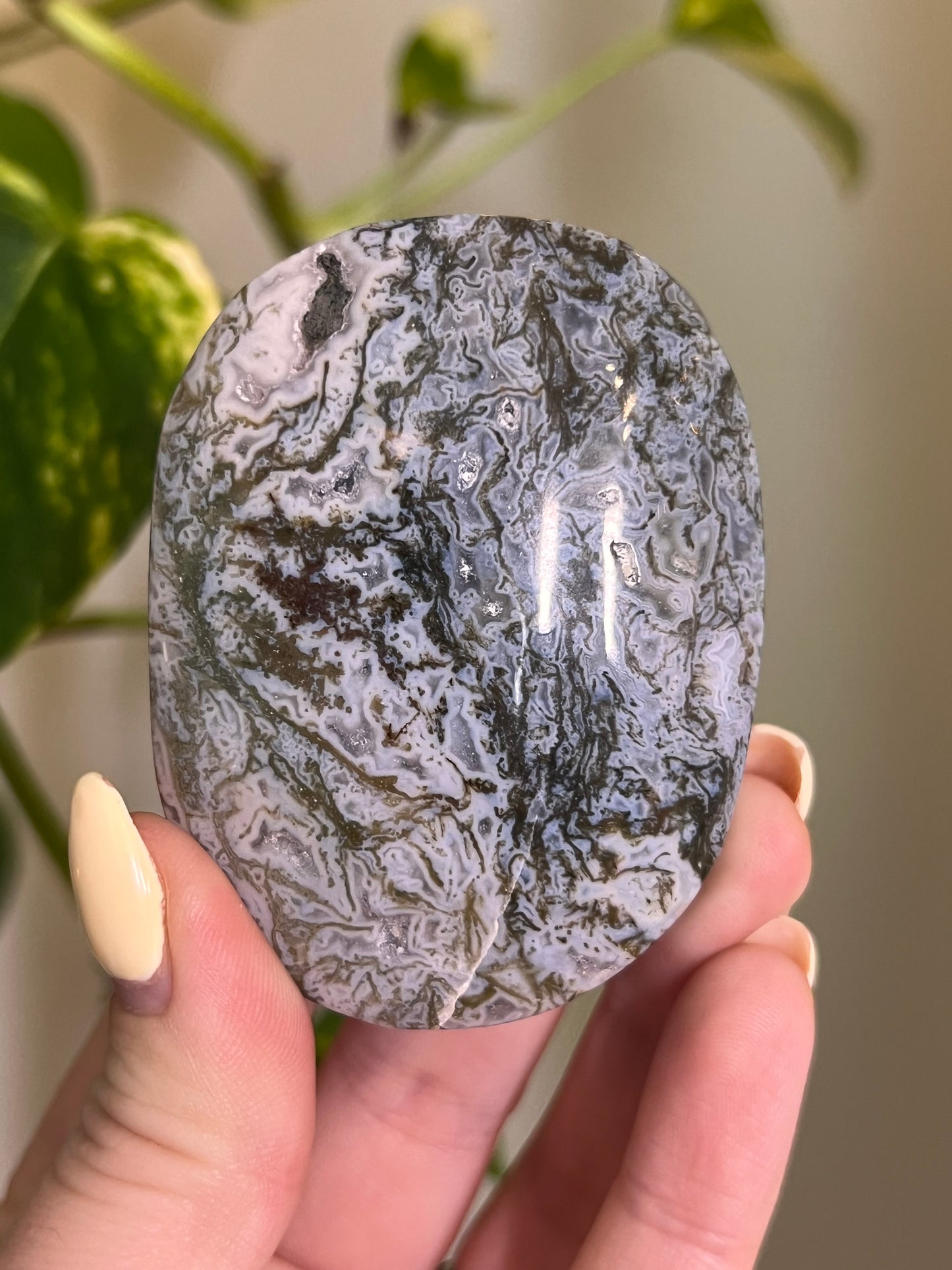 Rainbow Druzy Moss Agate Palm - L