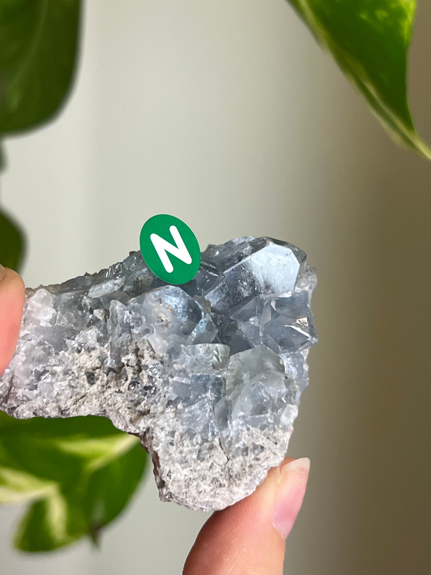 Celestite Cluster Small - N