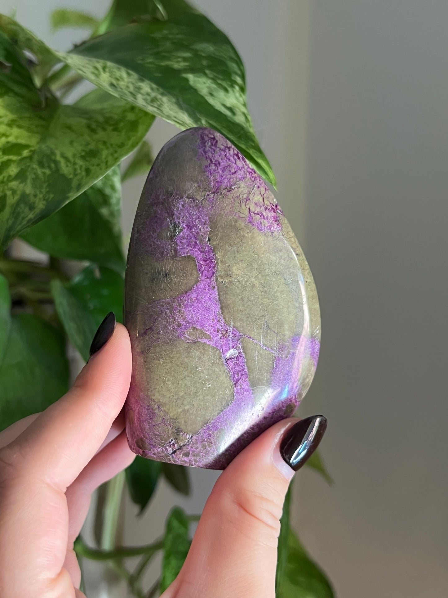 Purple Stichtite and Serpentine (Atlantisite) Freeform | Choose Your Own