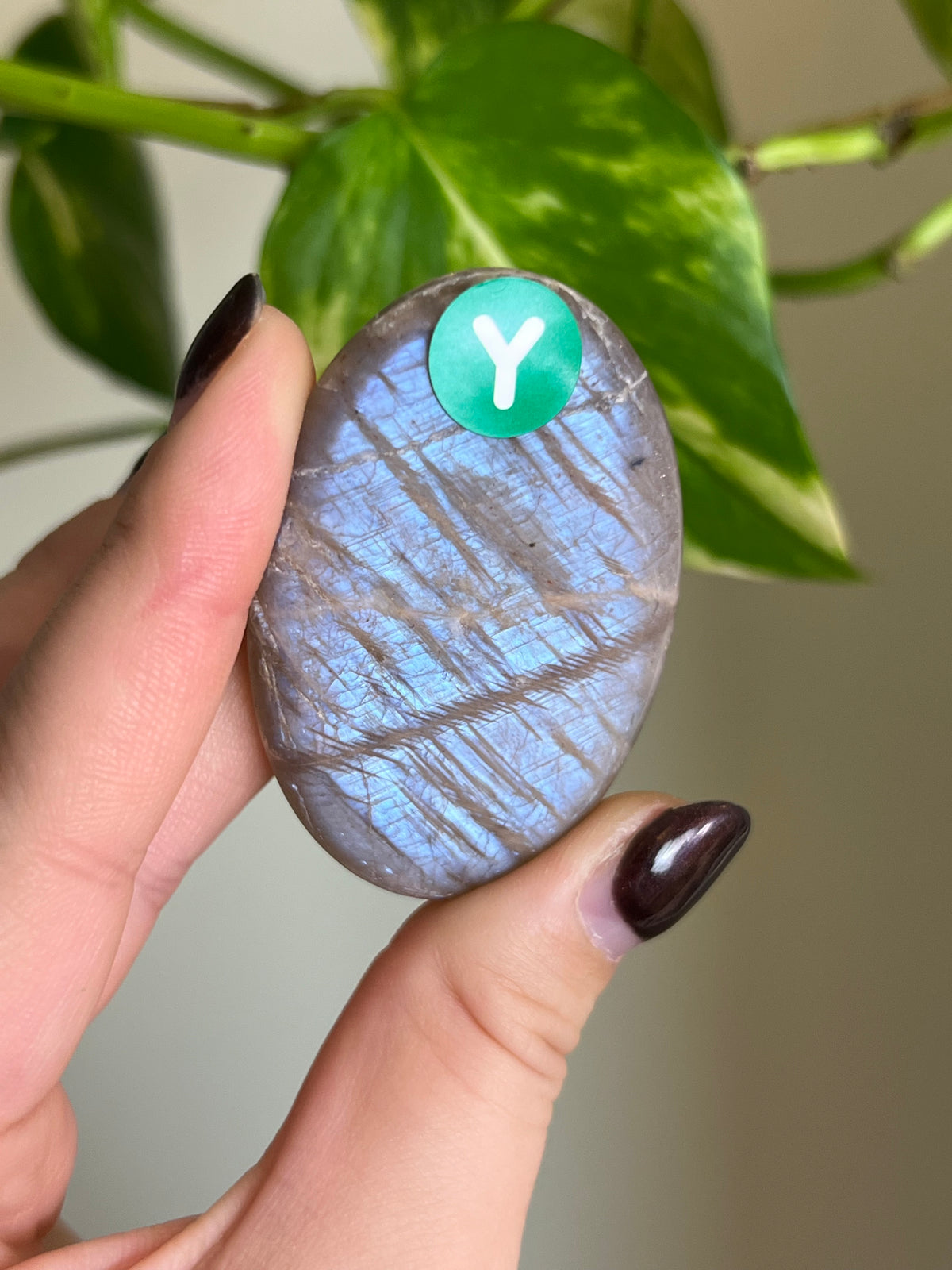 Flashy Moonstone Small Palm Stone - Y