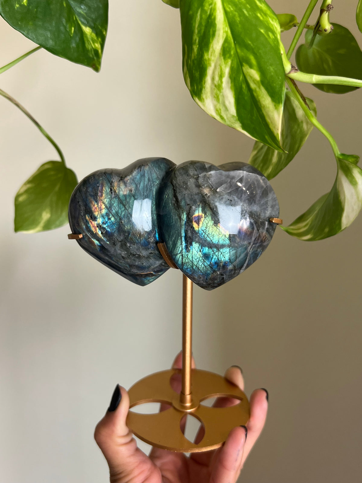 Flashy Labradorite Hugging Heart Duo on Stand