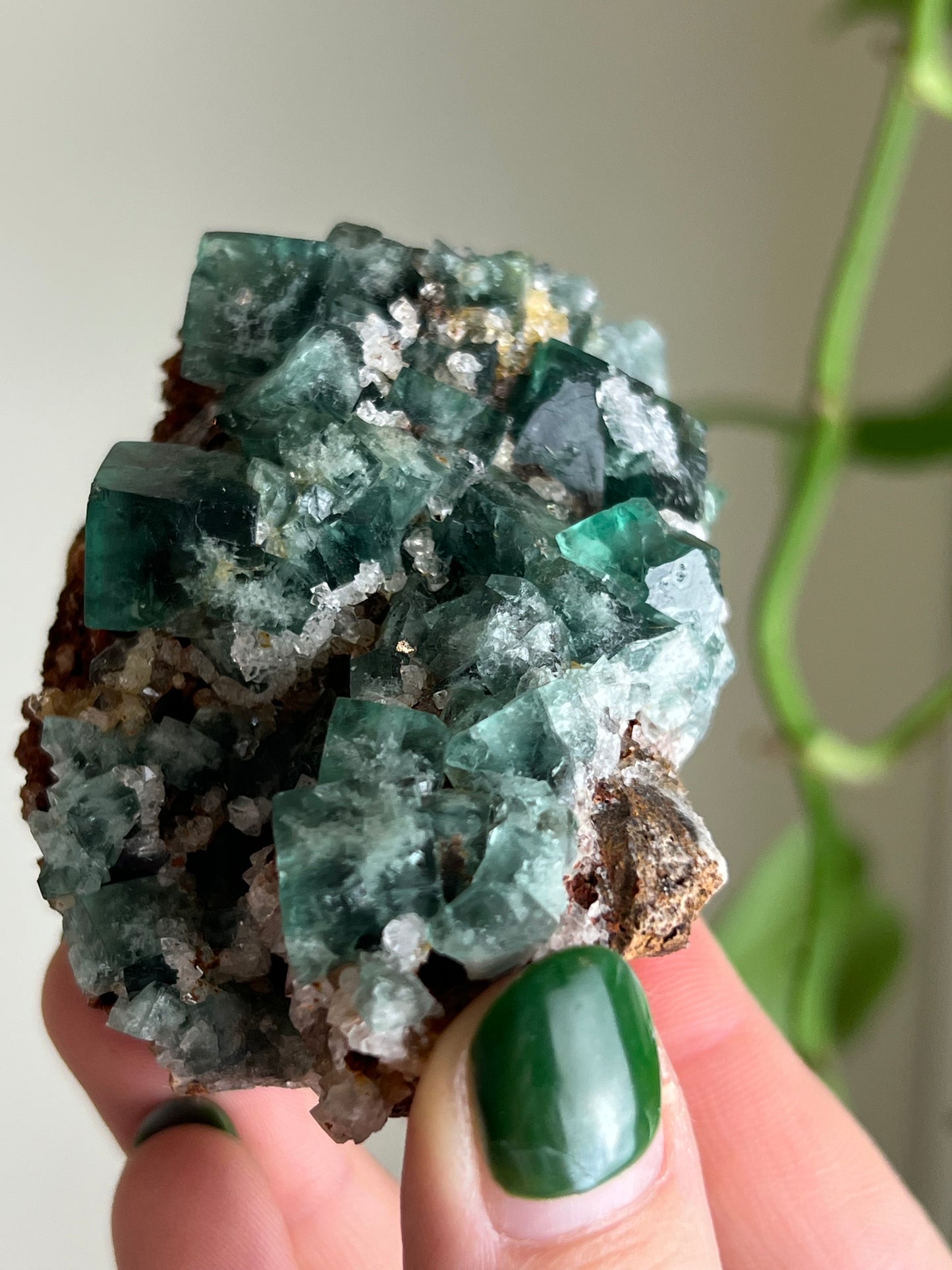 Cubic Sugar Druzy Fluorite - England