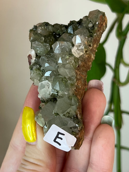 Forest Epidote Quartz Cluster - E