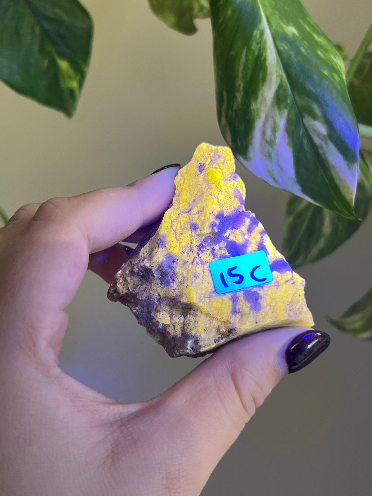 UV Reactive Meionite Scapolite Specimen - C
