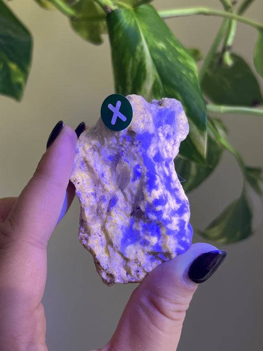 UV Reactive Meionite Scapolite Specimen - X