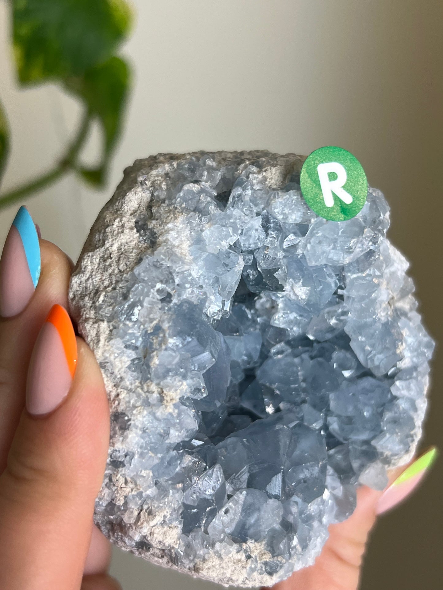 Celestite Cluster - R 🌊