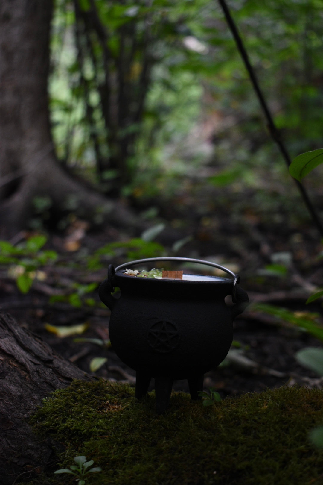 Mabon Magic Cauldron Candle | Spiced Apple Cider 🍏