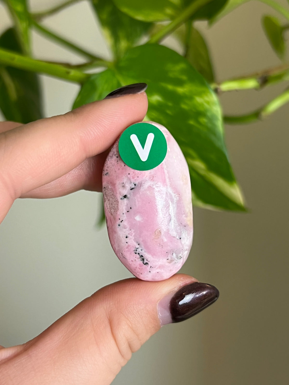 Bubblegum Peruvian Rhodonite Small Palm Stone - V