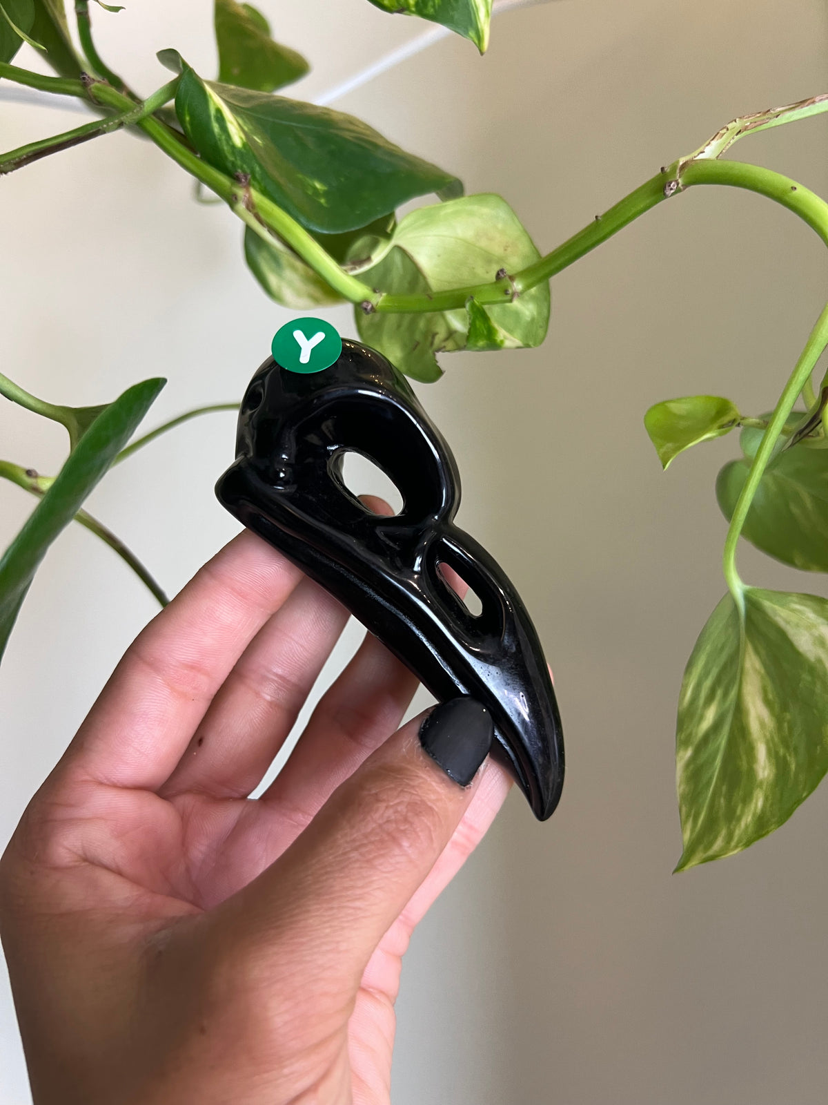 Black Obsidian Raven - Y
