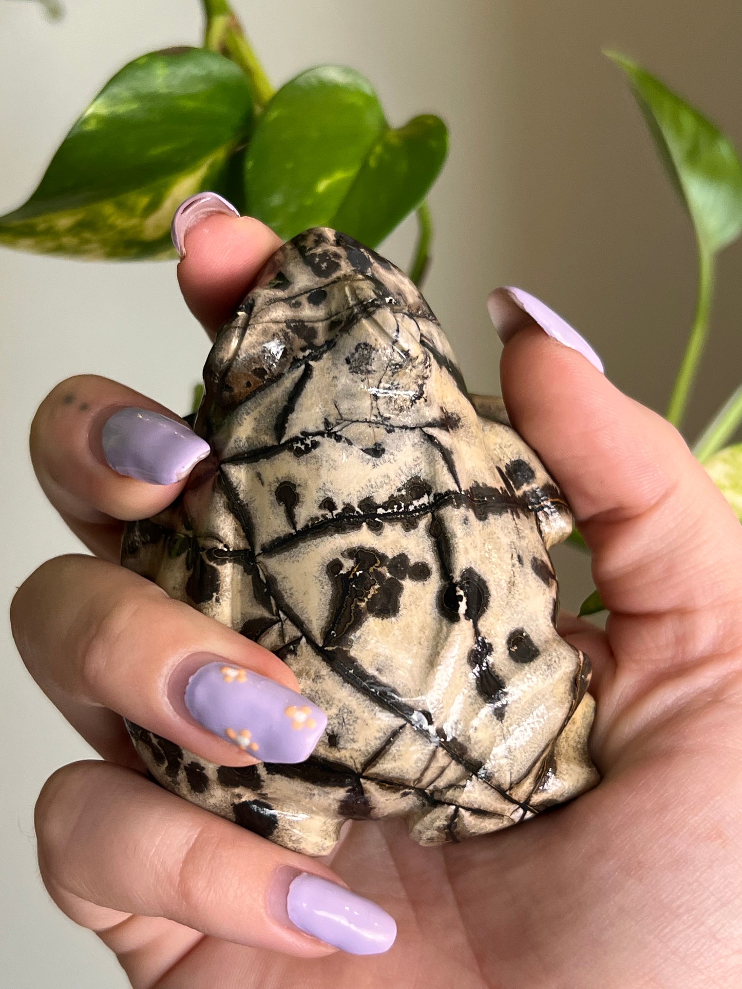 Picture Jasper Large Toad