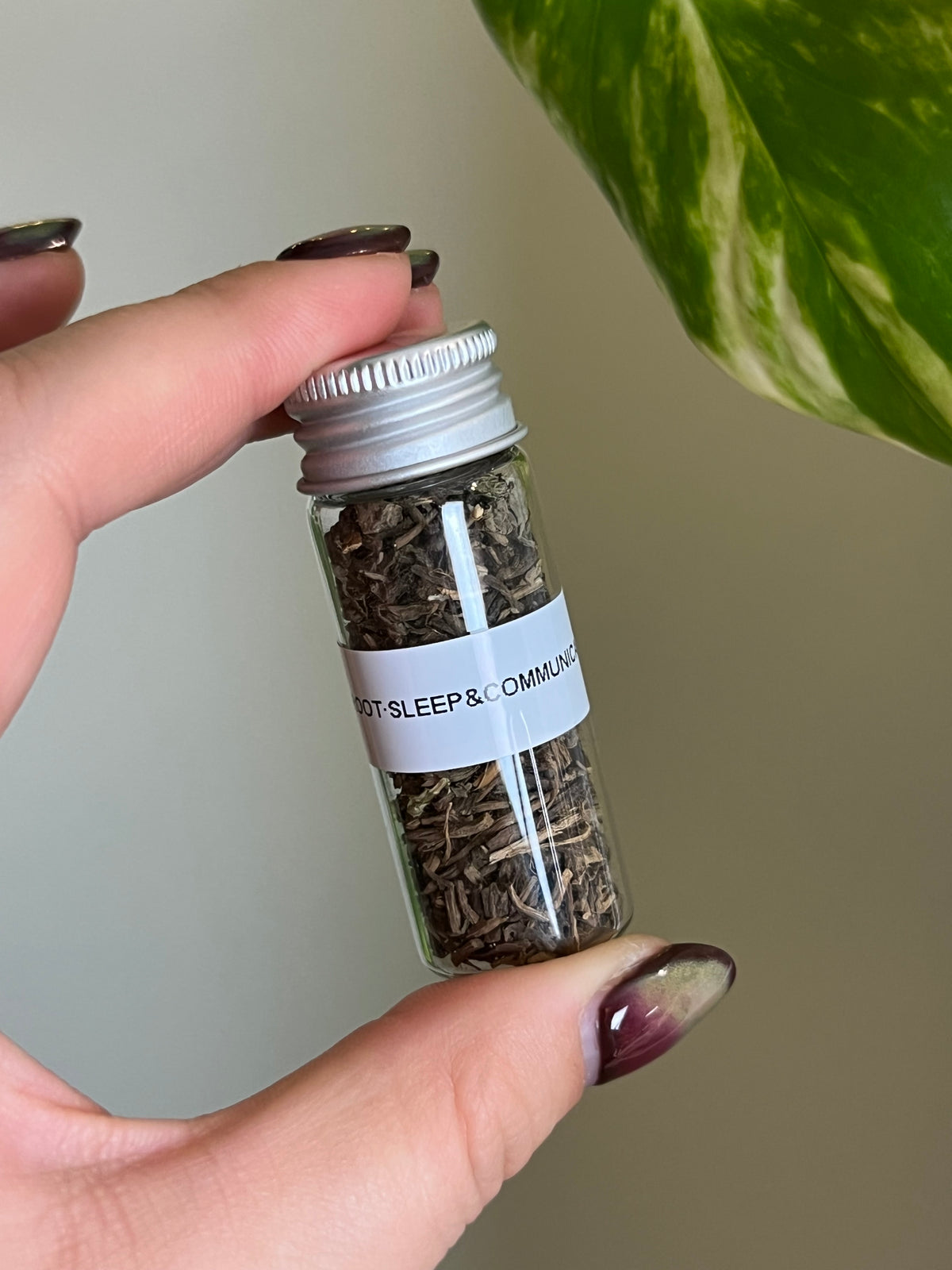 Valerian Root Herb Vial - Sleep + Communication