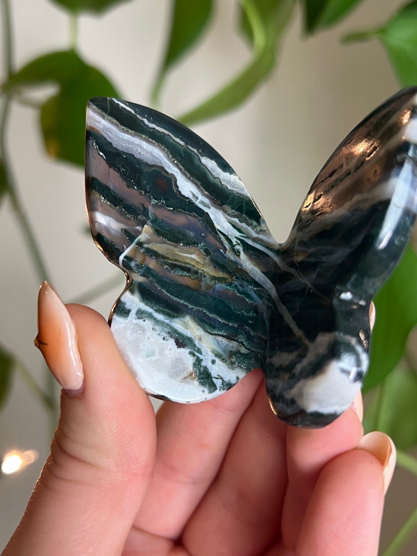 Green Sardonyx 3D Butterfly