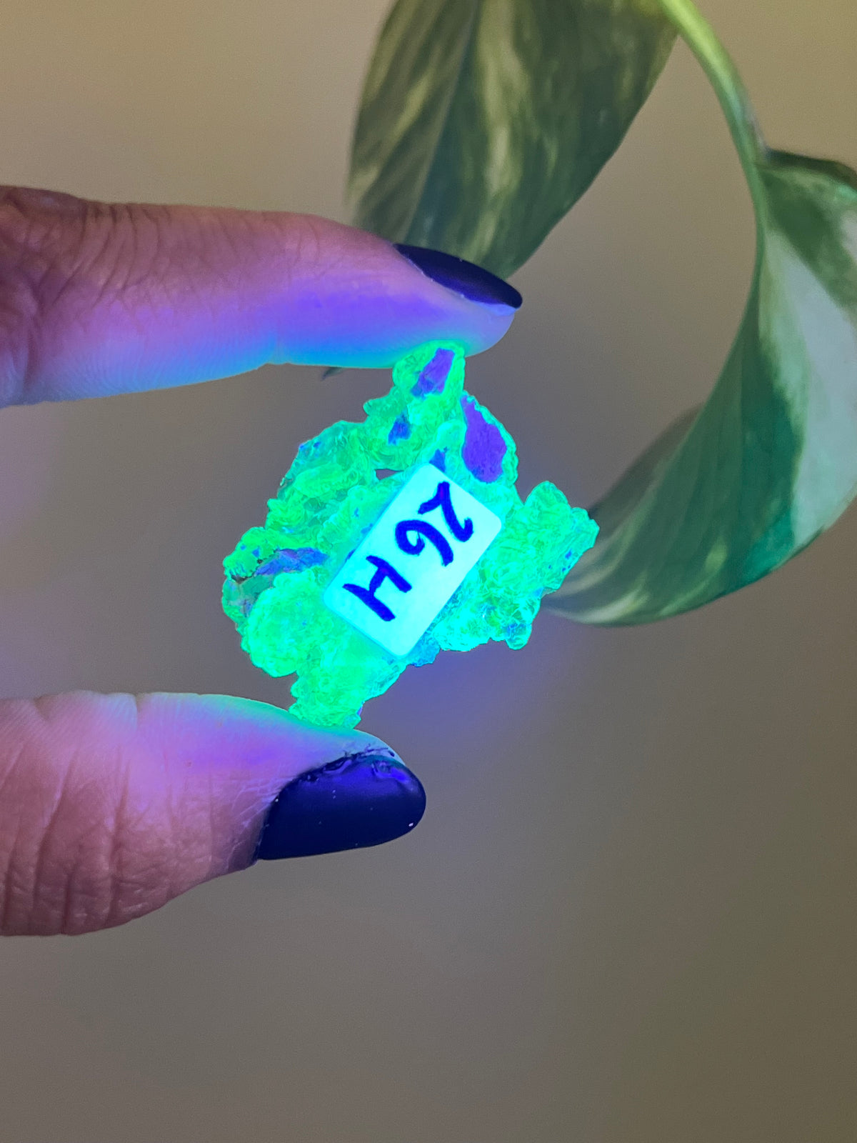 UV Reactive Hyalite Opal - H