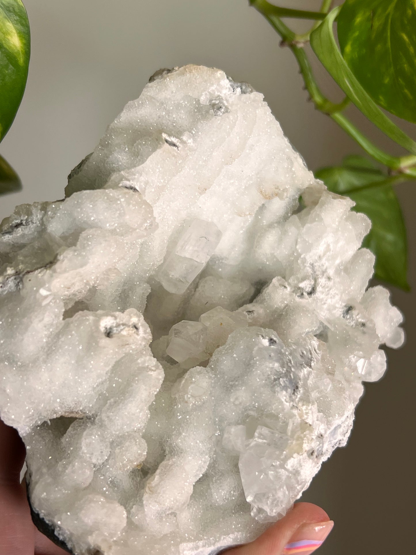 Chalcedony and Apophyllite Large Cluster 🪸