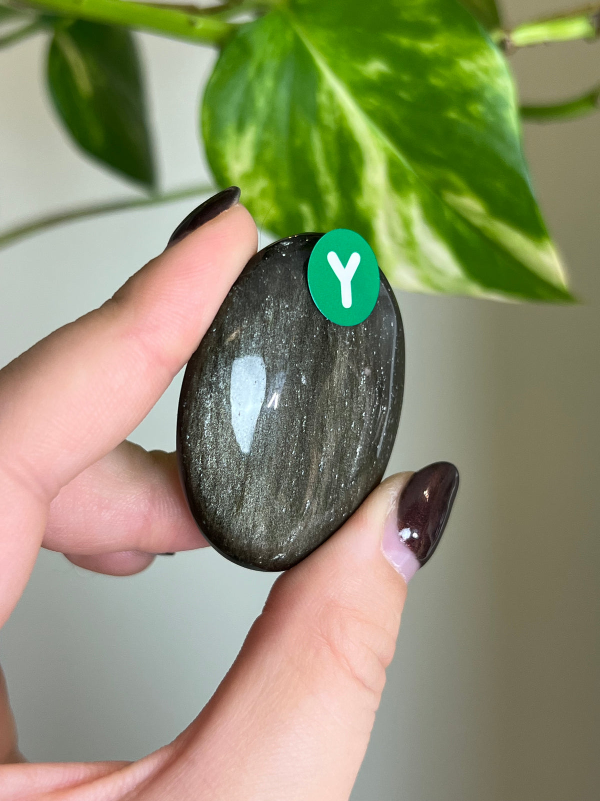 Gold Sheen Obsidian Small Palm Stone - Y