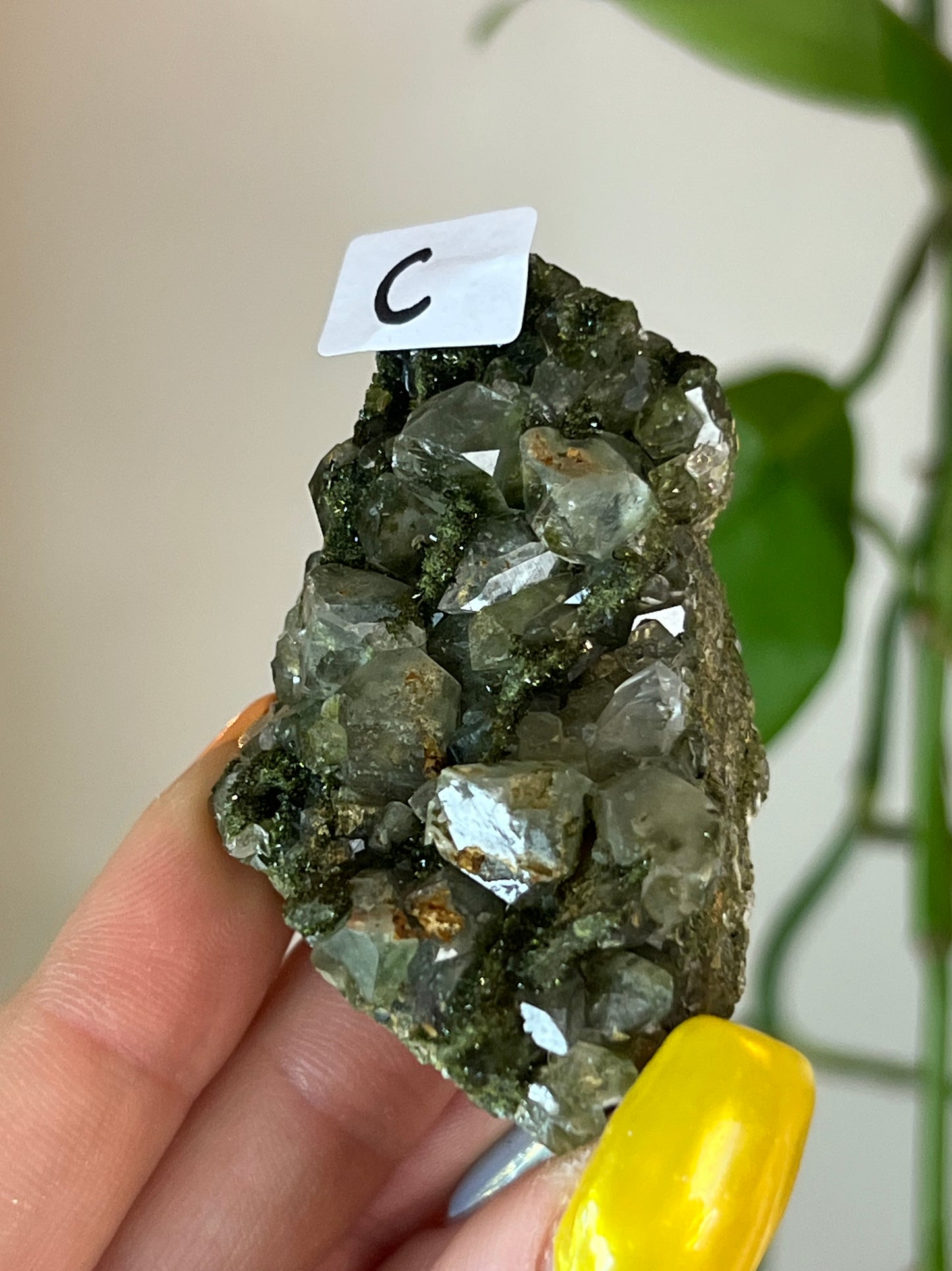 Forest Epidote Quartz Cluster - C
