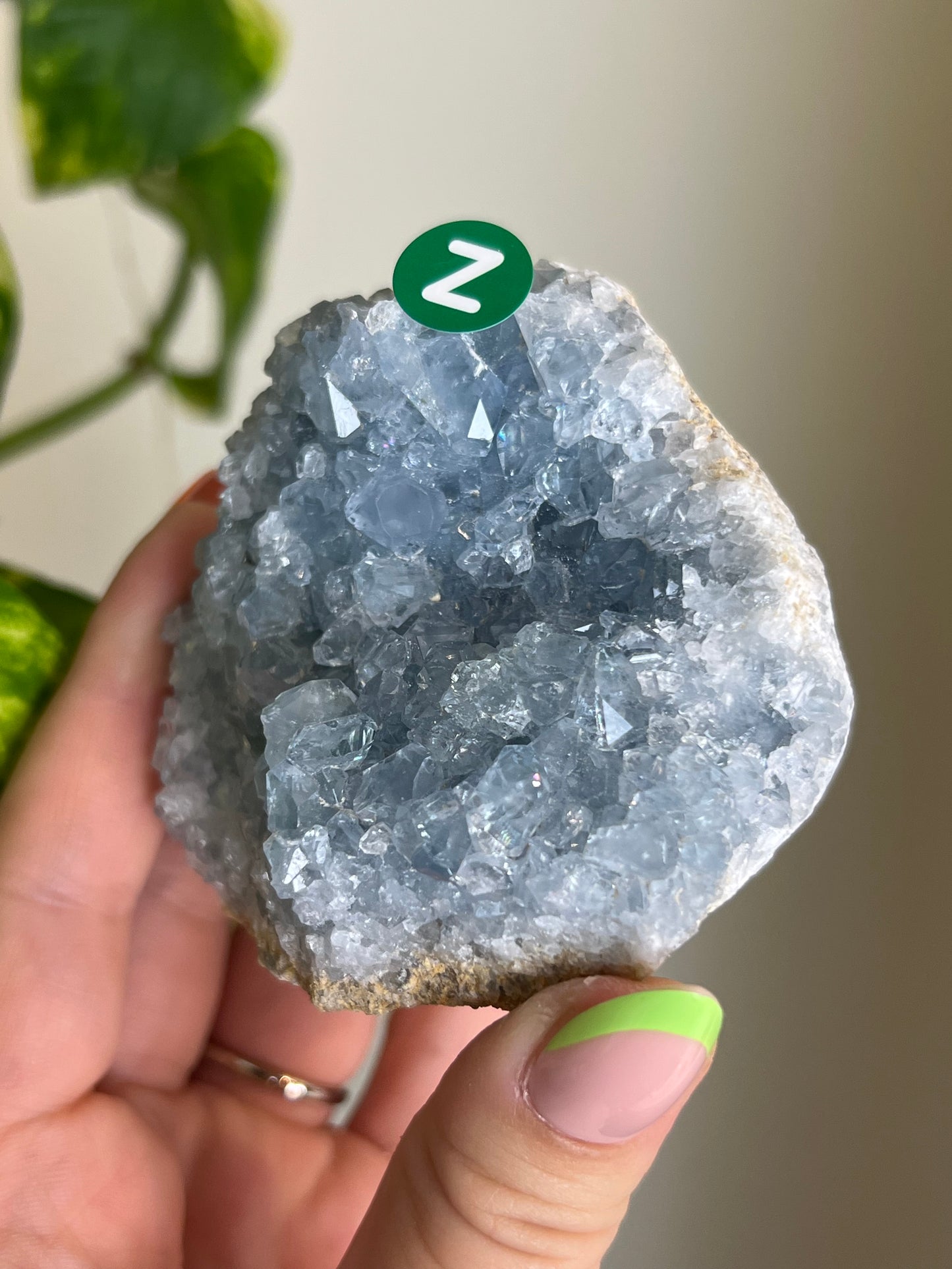 Celestite Cluster - Z 🌊