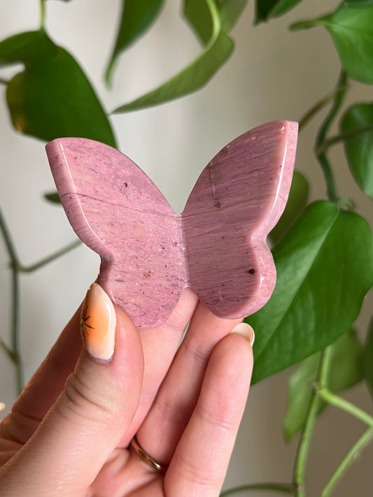 Pink Petrified Wood 3D Butterfly