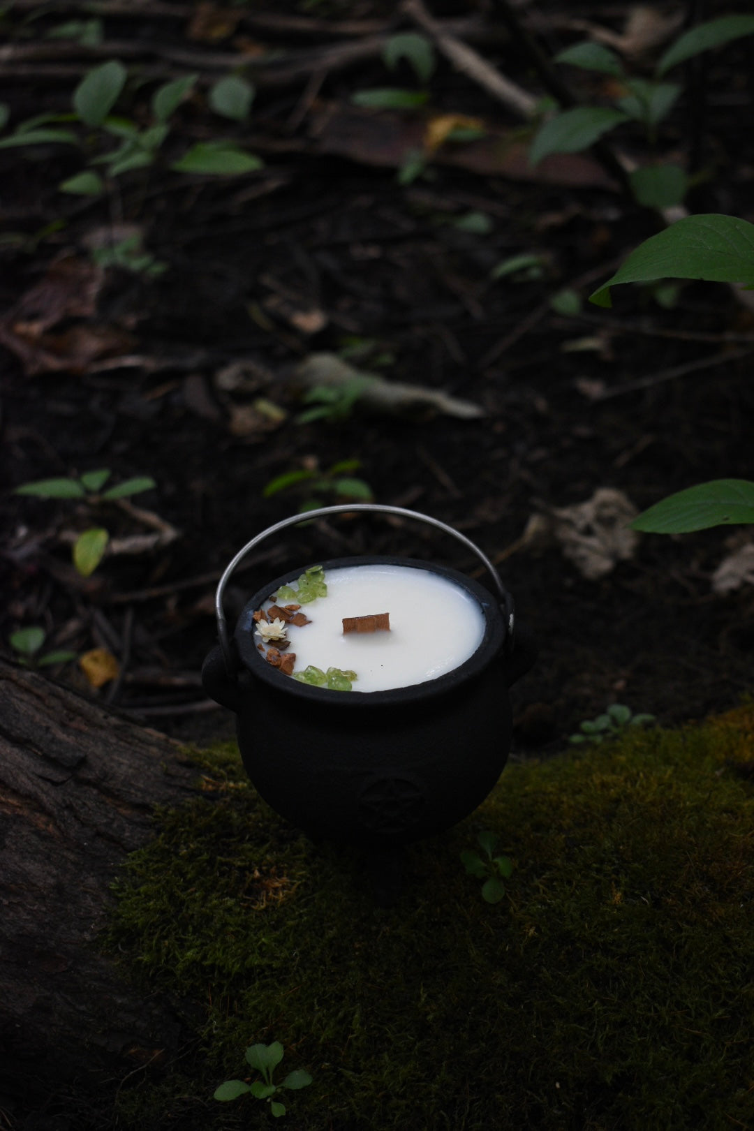 Mabon Magic Cauldron Candle | Spiced Apple Cider 🍏