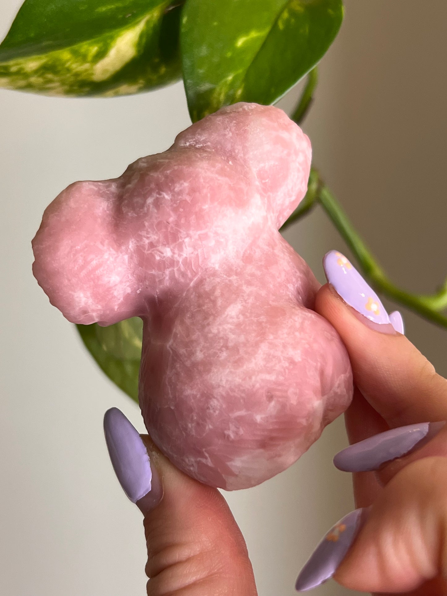 Pink Opal Koala - 1