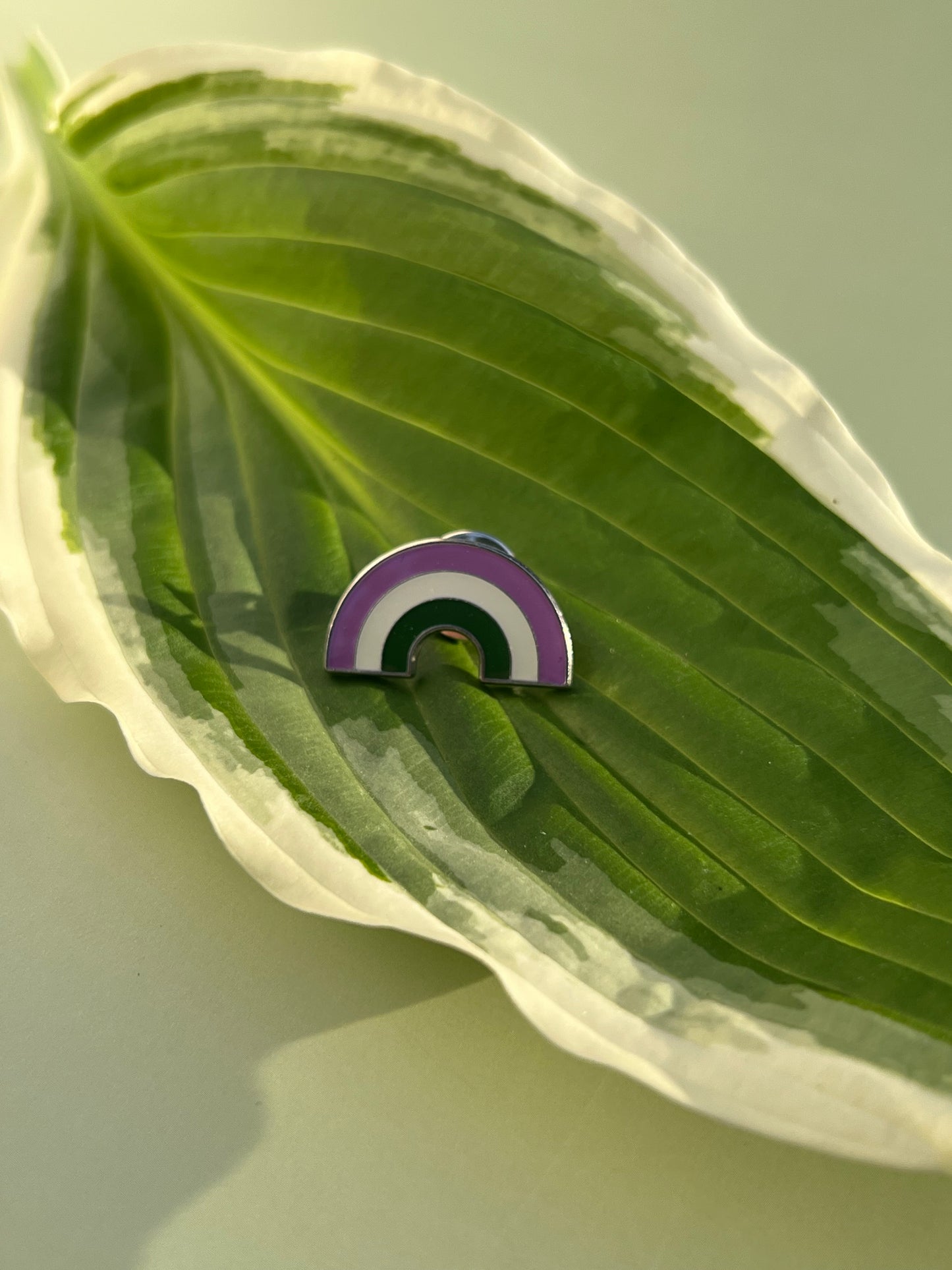 Genderqueer Rainbow Pin