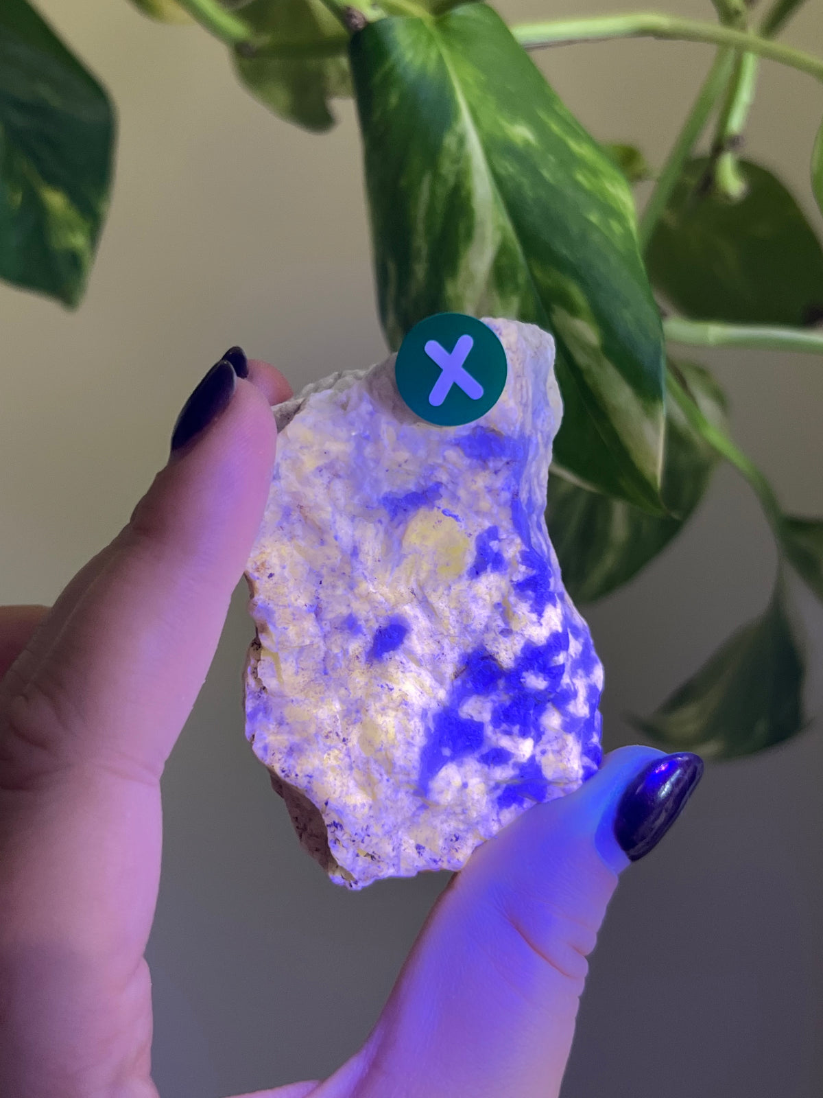 UV Reactive Meionite Scapolite Specimen - X