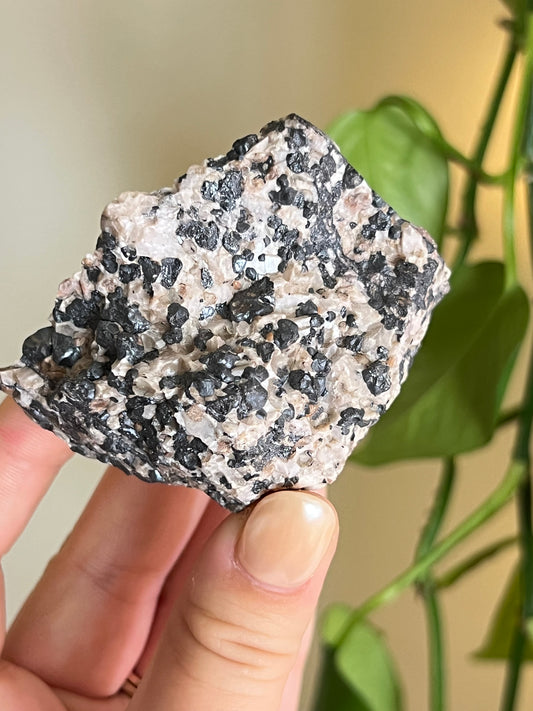 Willemite From Ontario