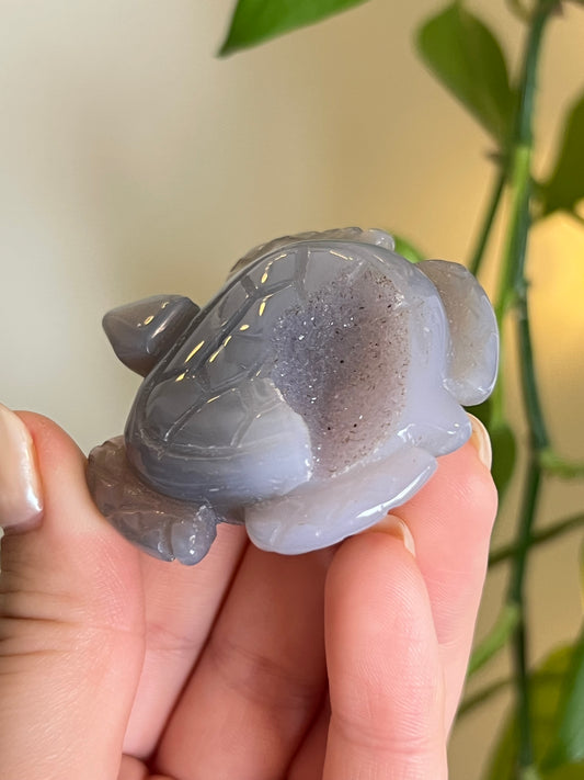 Druzy Agate Sea Turtle