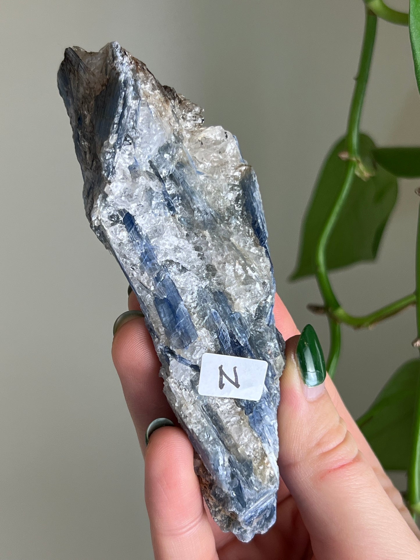 Blue Kyanite in Quartz N