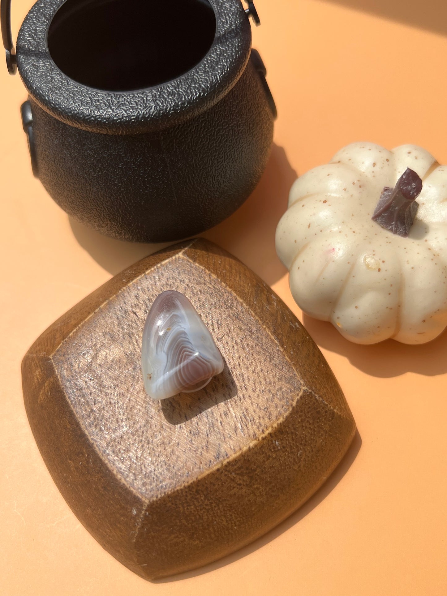 Botswana Agate Croc Charm 🤎