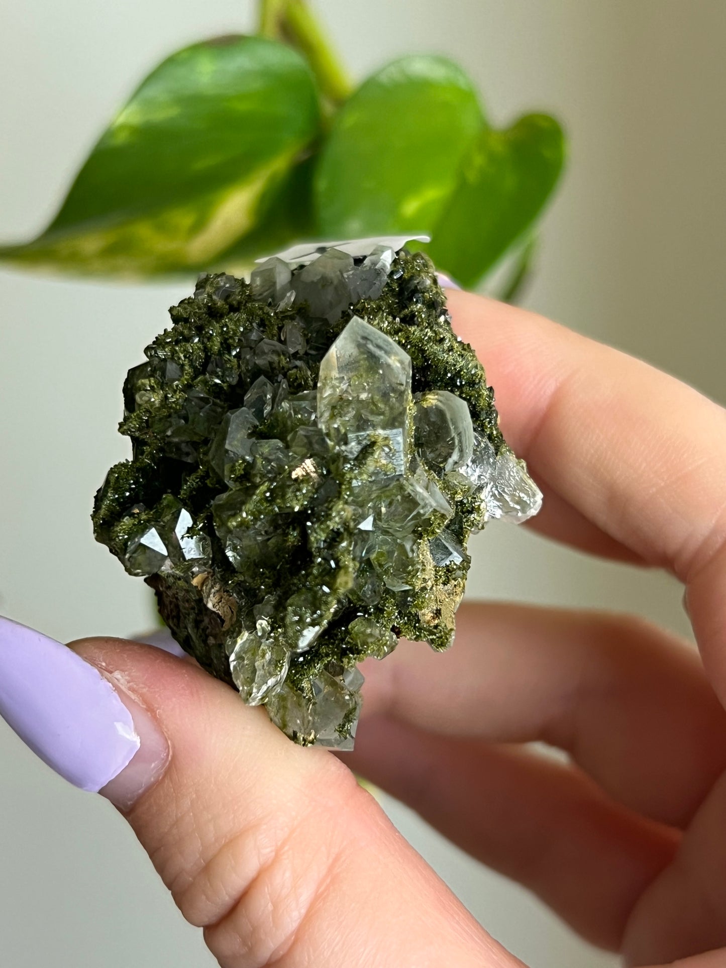 Forest Epidote Quartz Cluster - X