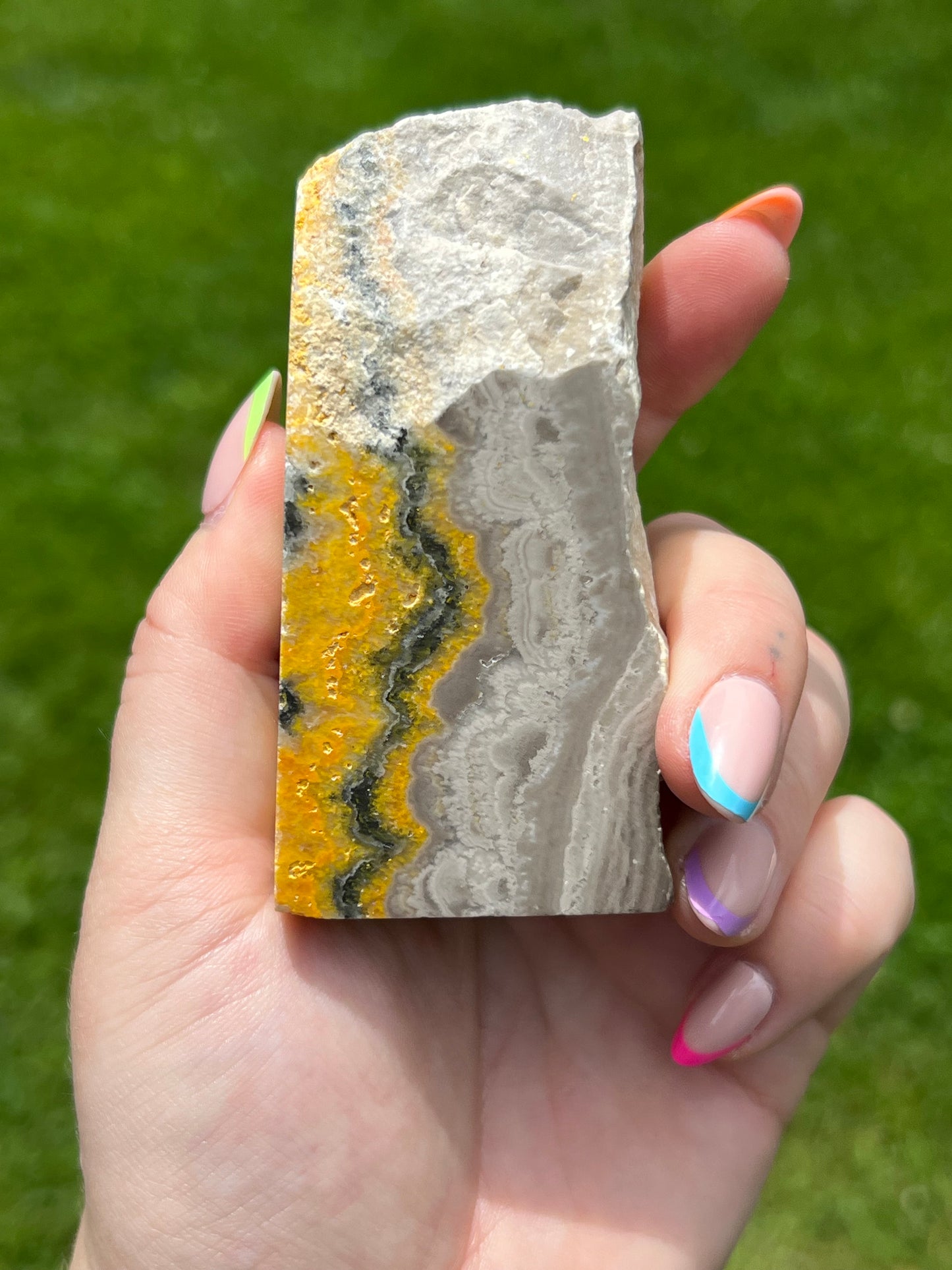 Bumblebee Jasper Freeform 🐝