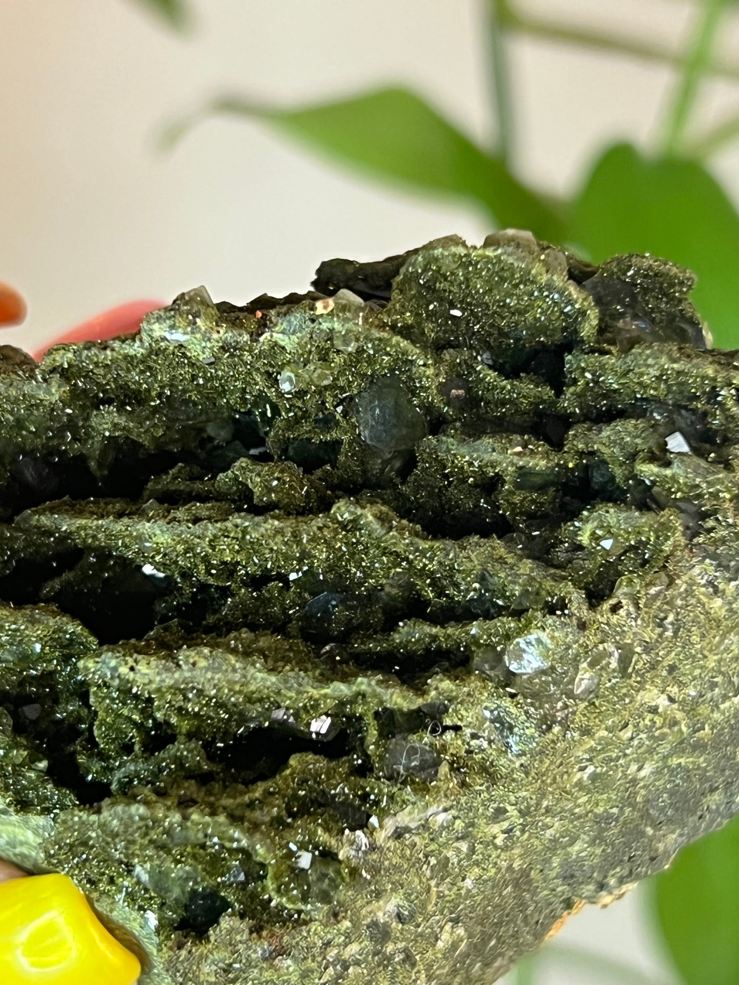 Forest Epidote Quartz Cluster - XLarge