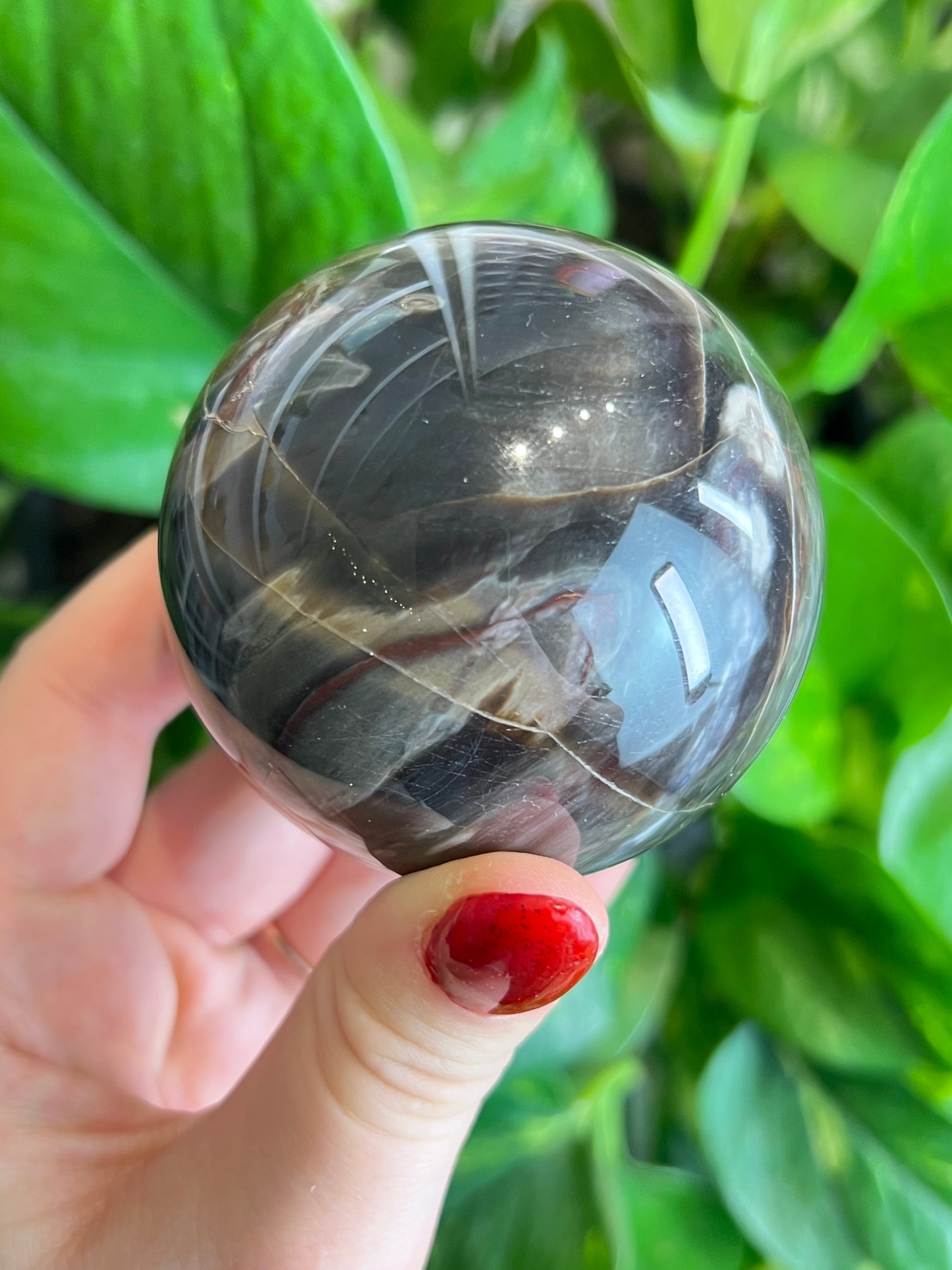Petrified Wood Sphere - S