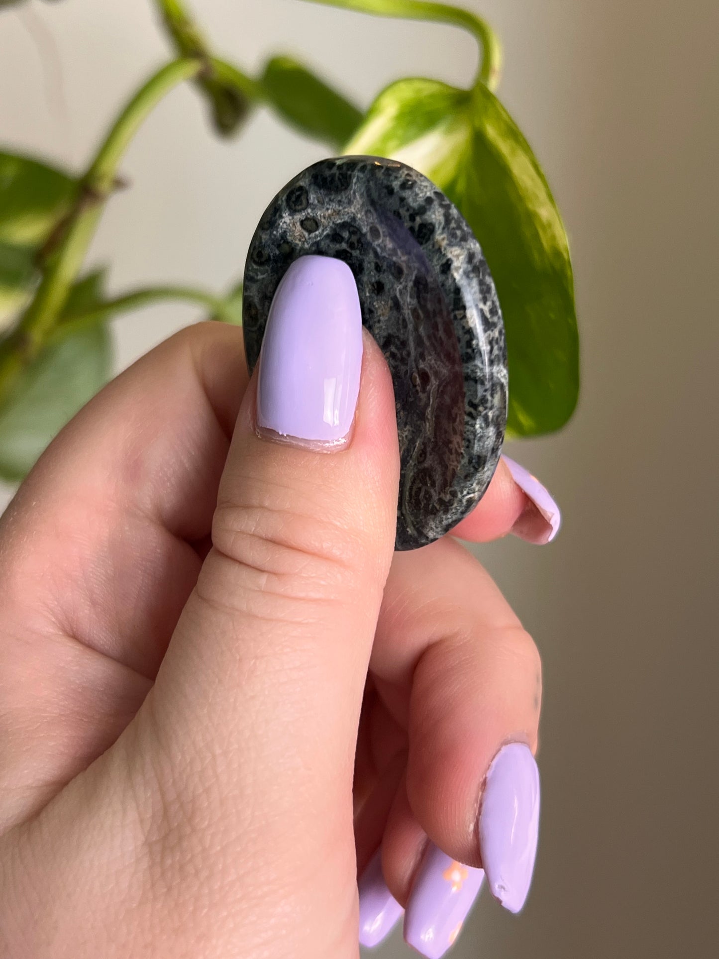 Kambaba Jasper Worry Stone