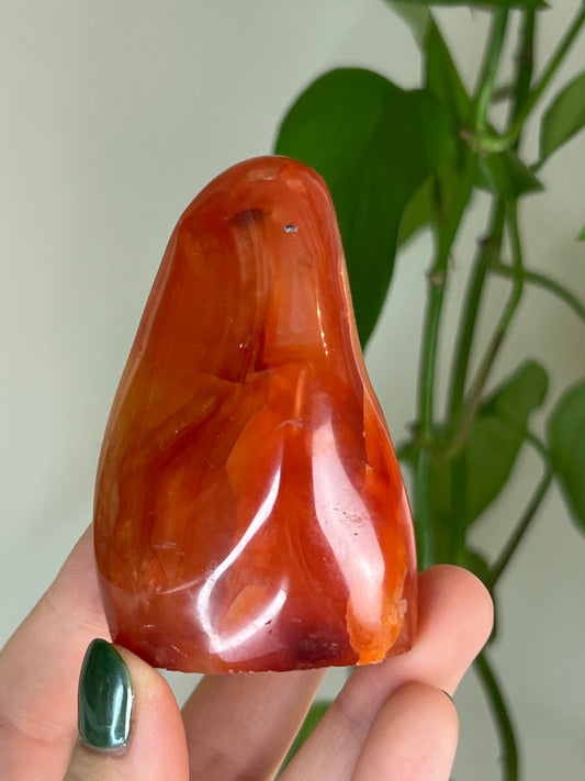 Mini Carnelian Freeform