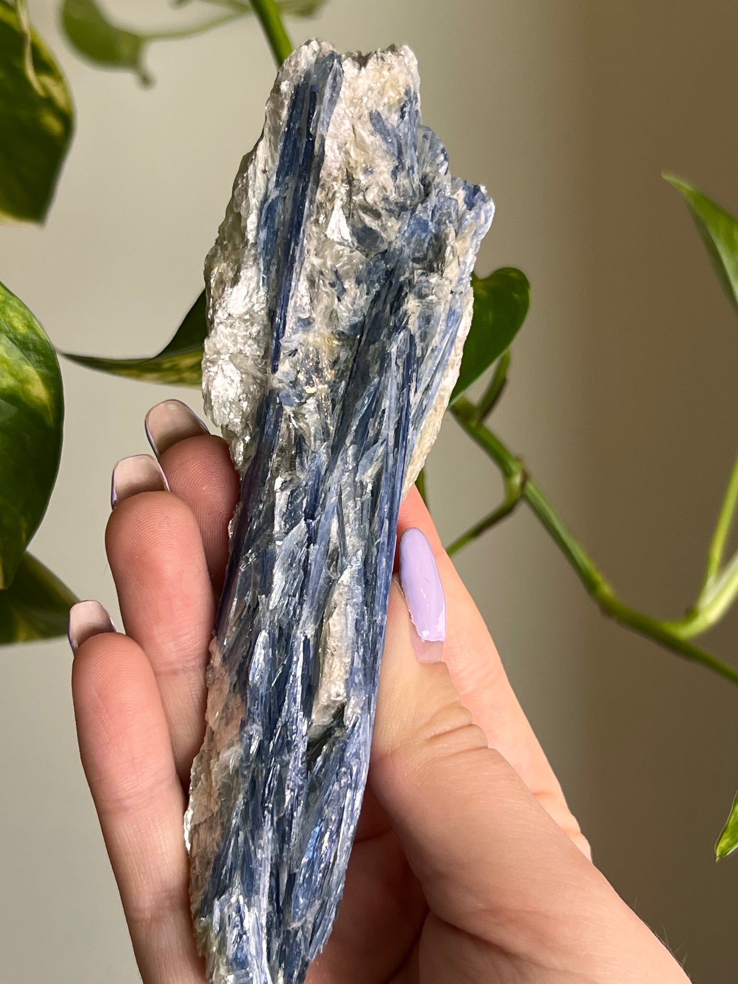 Blue Kyanite Raw Blade